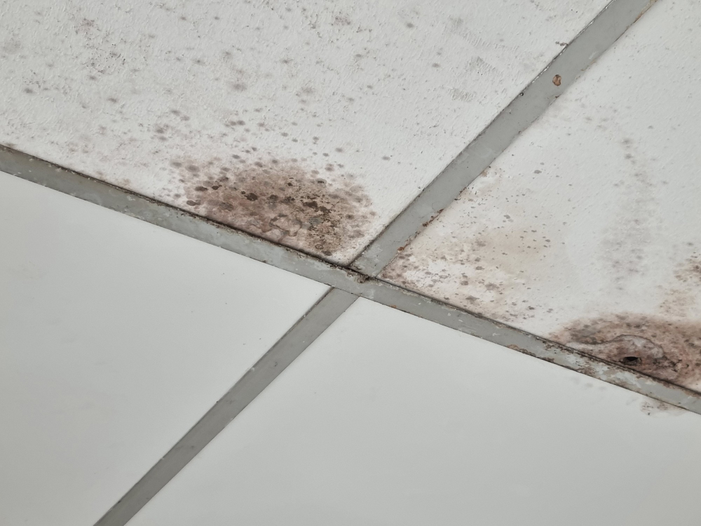 Tips to Prevent Mold & Cracking in Bathroom Grout