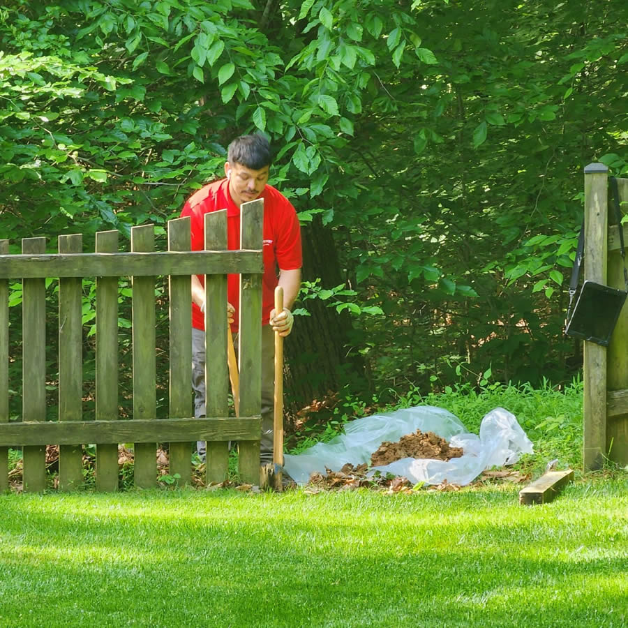 Fence Repair in Carrollton, TX